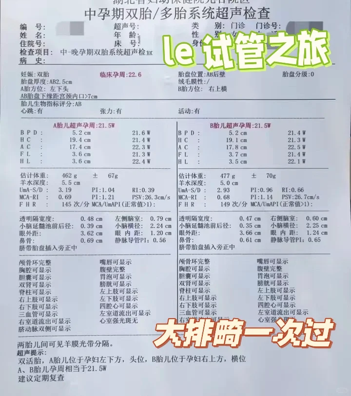福建供卵包男孩,爱的另一种方式：我们的试管之旅