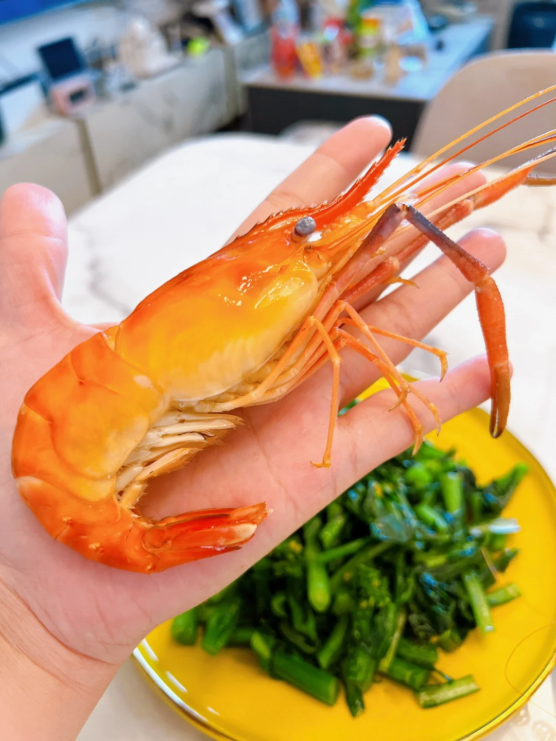 移植后吃点啥｜接受队友投喂中